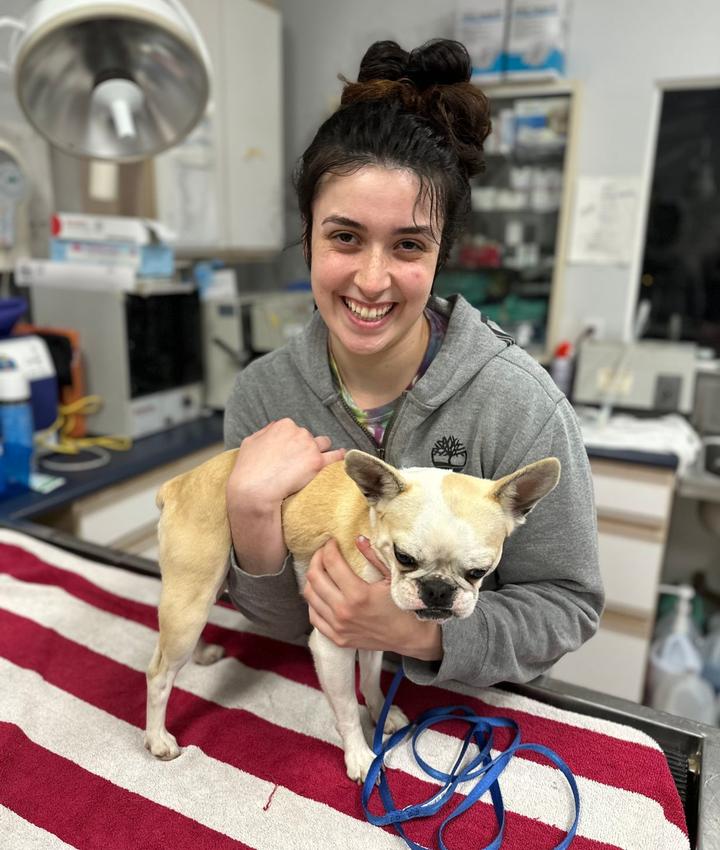 Meet Our Team Family Pet Hospital Ashland